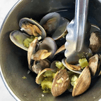 Best Steamed Clams in Miami, FL